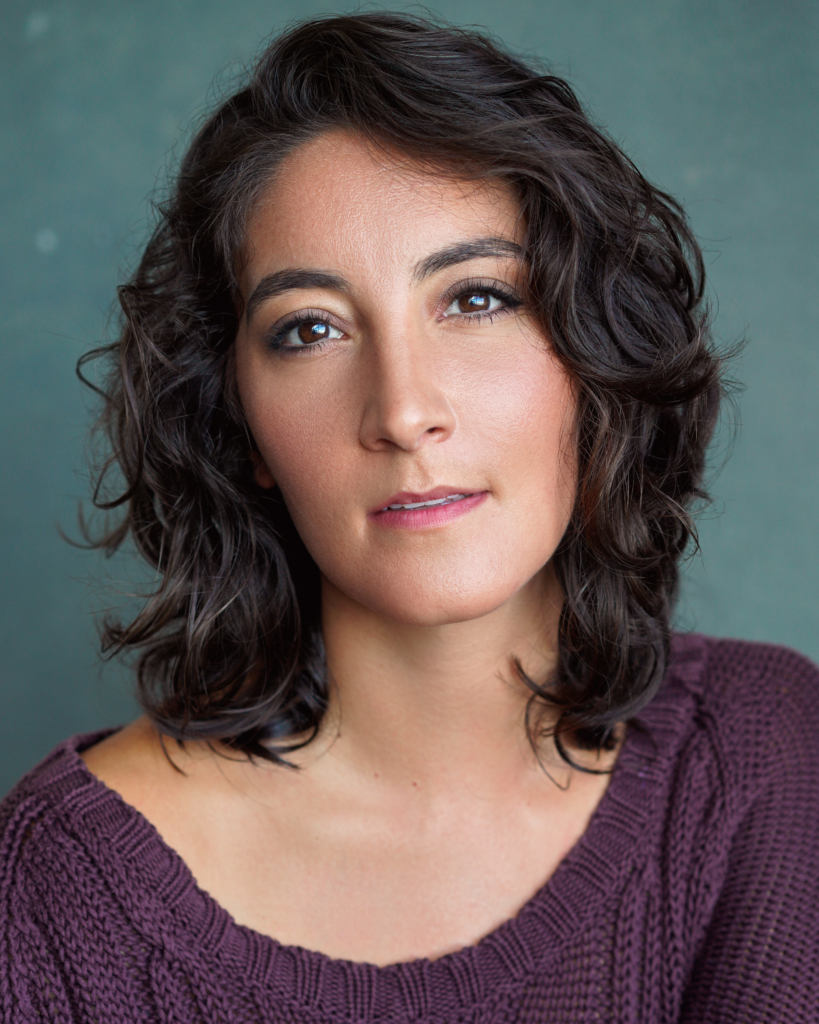 Parisa Shahmir